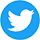 Logo Twitter NES Formation